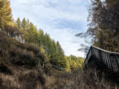 -苏木山森林公园