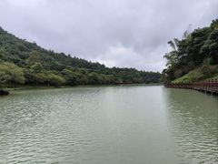 -广州白江湖森林公园