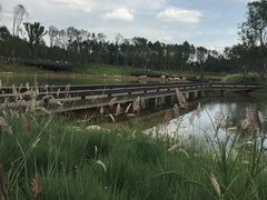 -白鹭湾湿地公园