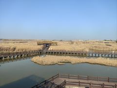 -宁波杭州湾国家湿地公园