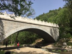 -白水寺森林公园