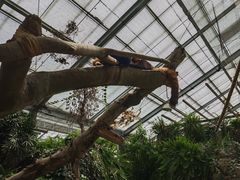 -济州山房山碳酸温泉