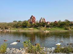 -北京野生动物园