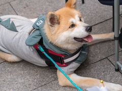 -太平洋数码广场