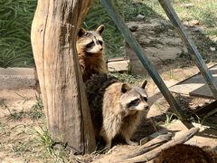 -青藏高原野生动物园