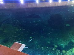 -天津湾西餐厅(三亚海棠湾洲际度假酒店)