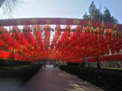 -大槐树寻根祭祖园