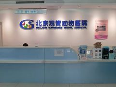 -北京观赏动物医院·24小时大型综合·猫专科·异宠专科