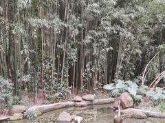 -广州兰圃