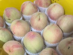 -老袁家蜜桃农场·阳山水蜜桃