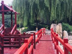 -唐城墙遗址公园