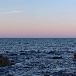 -薇兰专业脱毛连锁机构