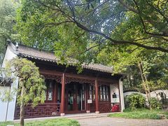 -汇龙潭