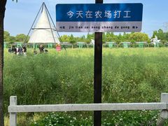 -金稼园·金平湖农家菜