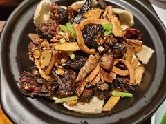 -宋小谨(惠安禹洲店)