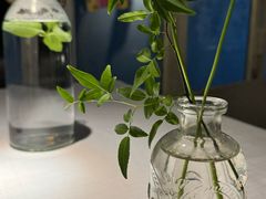 -春树下·树屋花房西餐厅(罍街AS1980店)