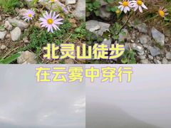 -灵山