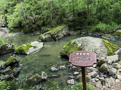 -茅兰沟国家森林公园