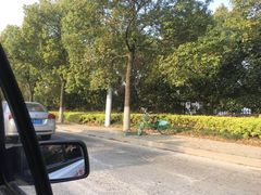 -胜华驾校·小猫学车(银都店)