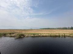 -野鸭湖国家湿地公园