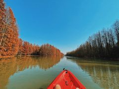 -上海海湾国家森林公园