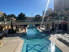 -拉斯维加斯永利酒店