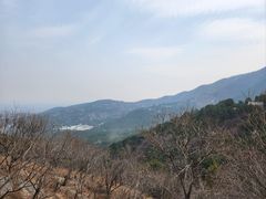 -香山公园
