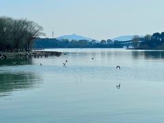 -长广溪湿地公园