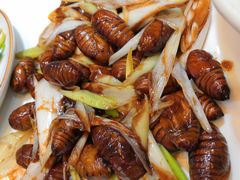 炒蚕蛹-蠔友汇·海鲜·生蚝烧烤(大东店)