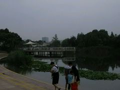-新江湾城公园
