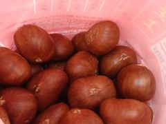 -阿男野栗王(金门路店)