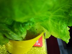 -赵氏盱眙十三香龙虾(蓝村店)