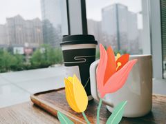 -去茶山