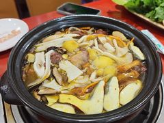 -菌之家·专业纯野生菌火锅·特色炒菌