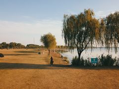 -漕湖湿地公园