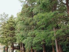 -荔枝公园(福田区)