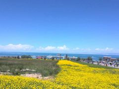 -青海湖国家重点风景名胜区