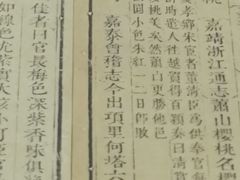 -河姆渡遗址博物馆