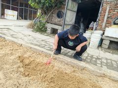 -樂桃源奉贤黄桃种植采摘基地