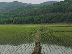 -五女山景区