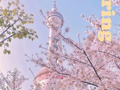 -东方明珠广播电视塔