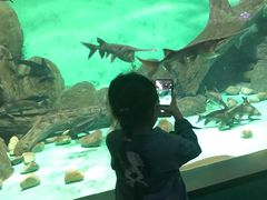 -常州海昌海洋探索馆