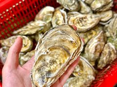 -巽寮印象美食部落餐厅·海鲜·地方特色菜(惠州体验店)