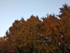 -苏州河梦清园环保主题公园