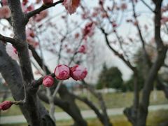 -江南大学(蠡湖校区)