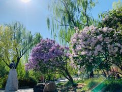 景点-北京动物园