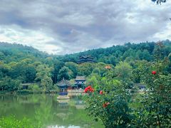 -黑龙潭公园