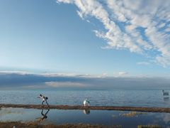 -青海湖国家重点风景名胜区