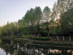 -常熟理文铂尔曼酒店