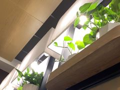 -肯德基(丁香店)